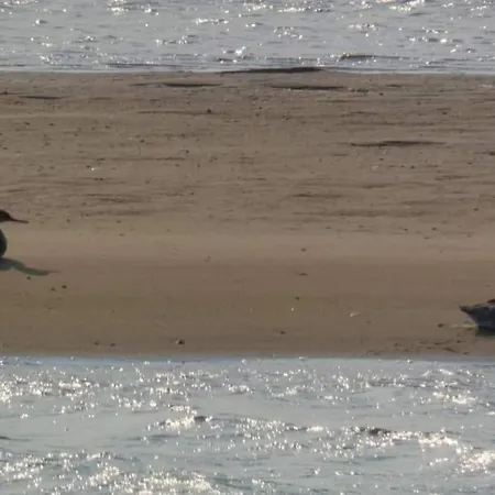 度假居 Casa Da Mareria Gafanha da Boa Hora