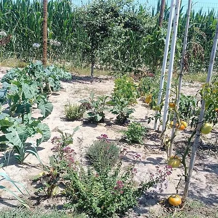 Casa Da Mareria Gafanha da Boa Hora