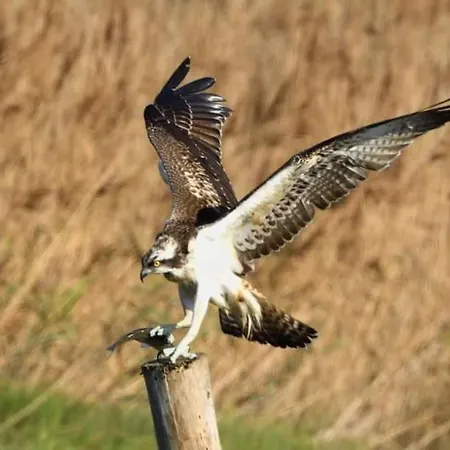 度假居 Casa Da Mareria