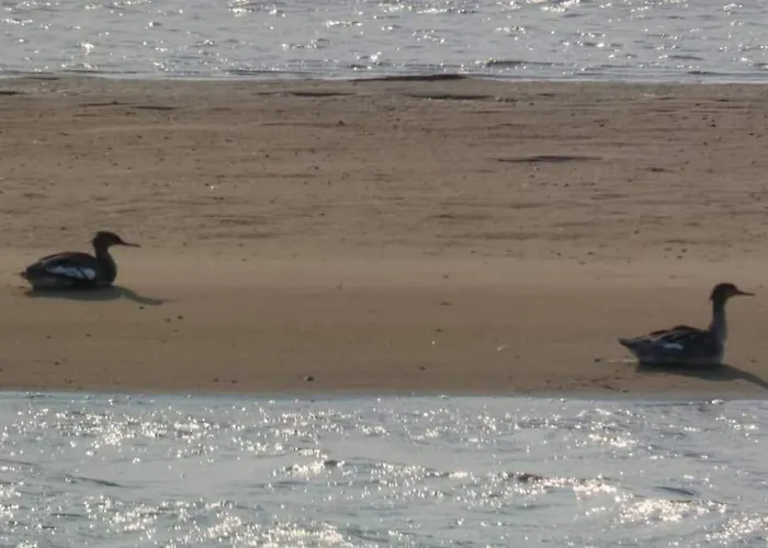 Feriehus Casa Da Mareria Gafanha da Boa Hora