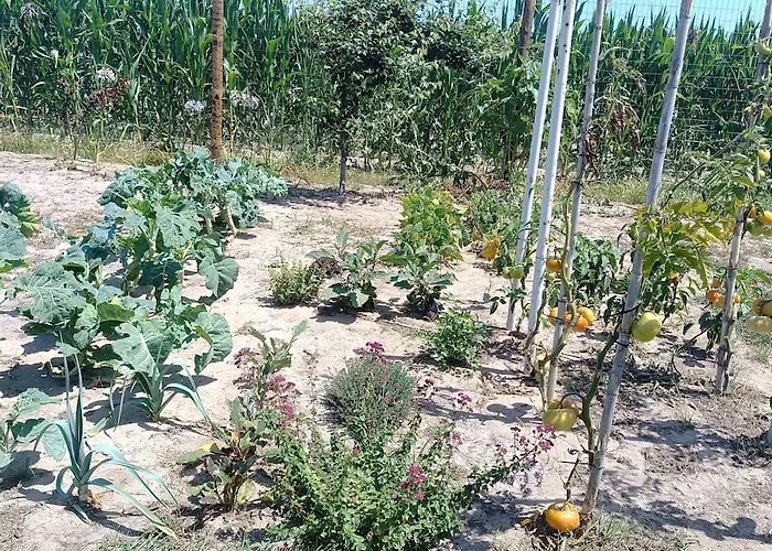 Casa Da Mareria Gafanha da Boa Hora